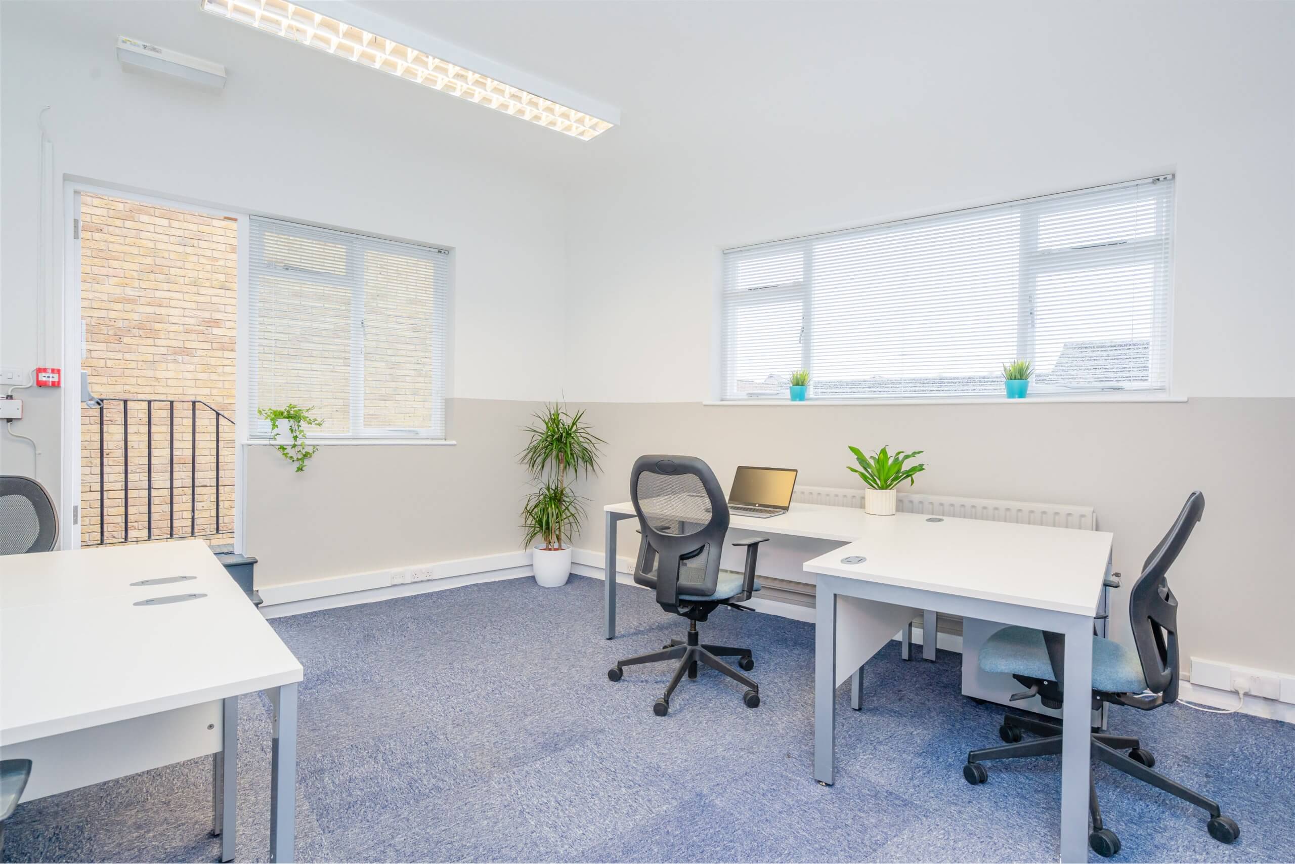 An Office with multiple desks, chairs and some plants