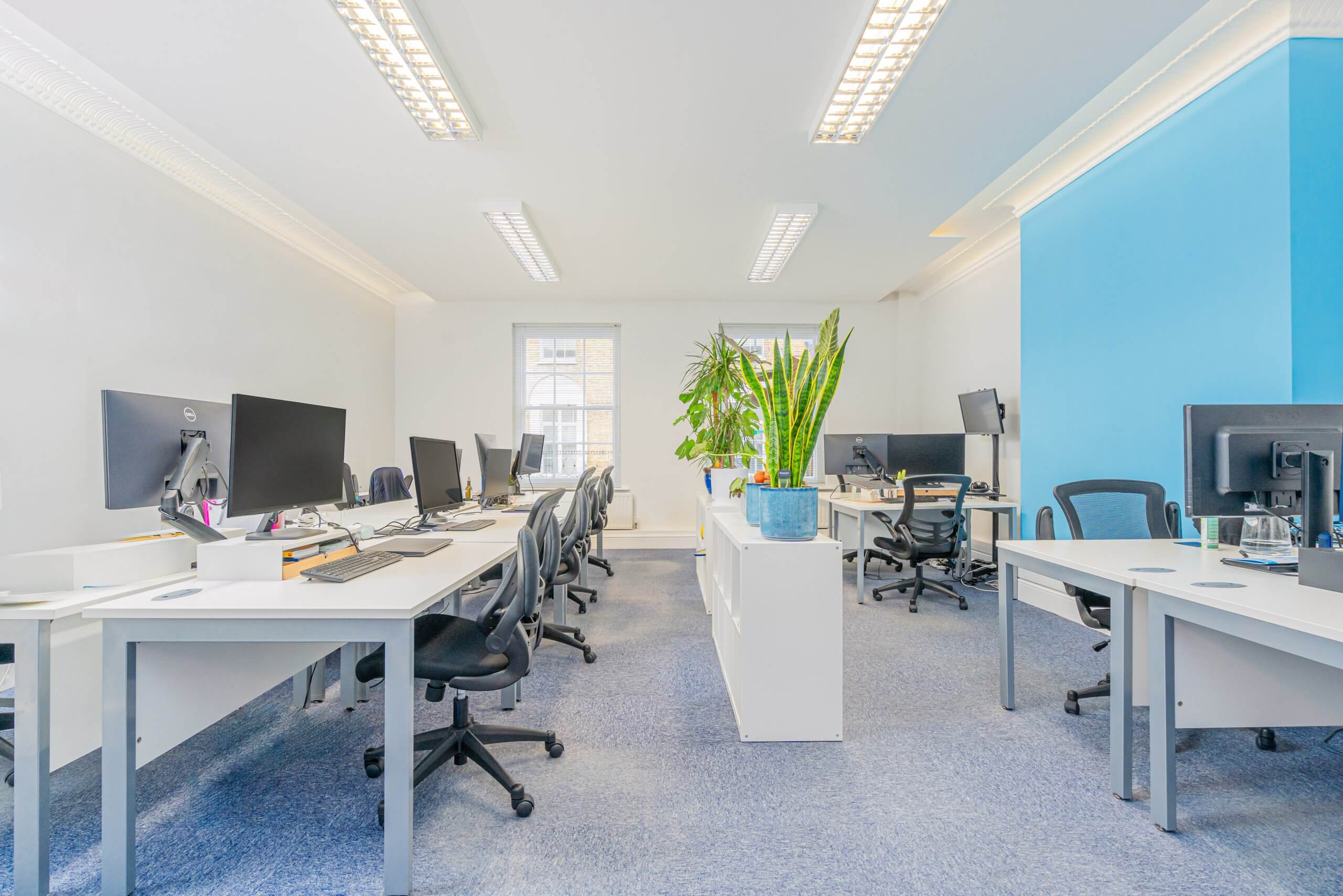 Wide shot of large office space with rows of desks and chairs